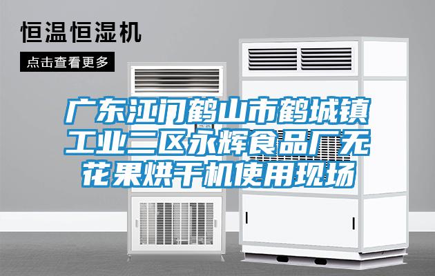 廣東江門鶴山市鶴城鎮(zhèn)工業(yè)二區(qū)永輝食品廠無花果烘干機(jī)使用現(xiàn)場(chǎng)