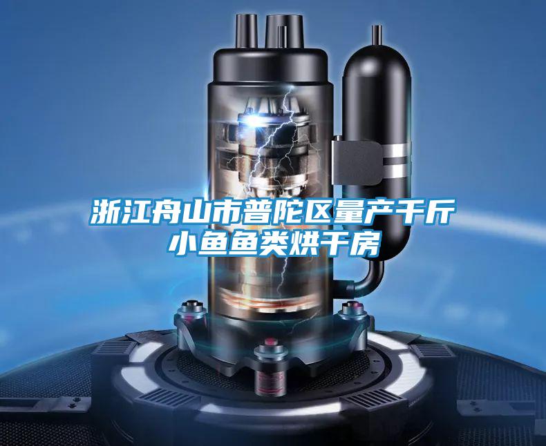 浙江舟山市普陀區(qū)量產(chǎn)千斤小魚魚類烘干房