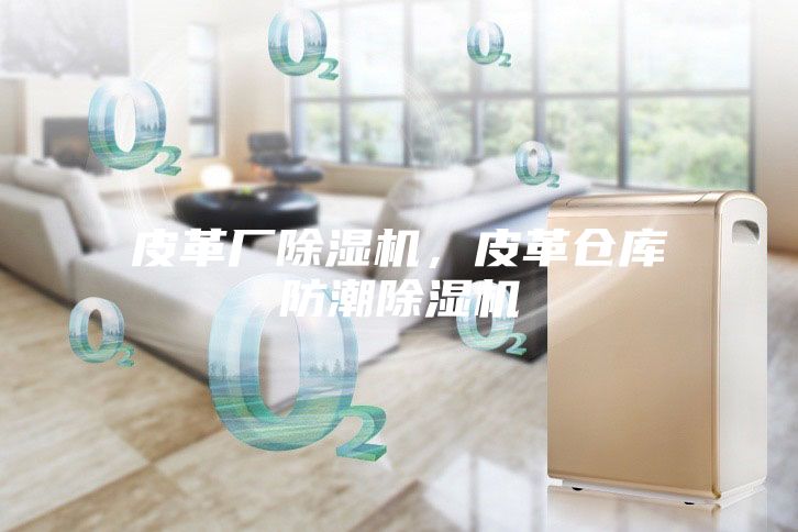 皮革廠除濕機(jī)，皮革倉(cāng)庫(kù)防潮除濕機(jī)