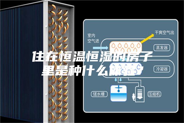 住在恒溫恒濕的房子里是種什么體驗？