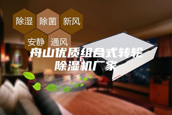 舟山優(yōu)質組合式轉輪除濕機廠家