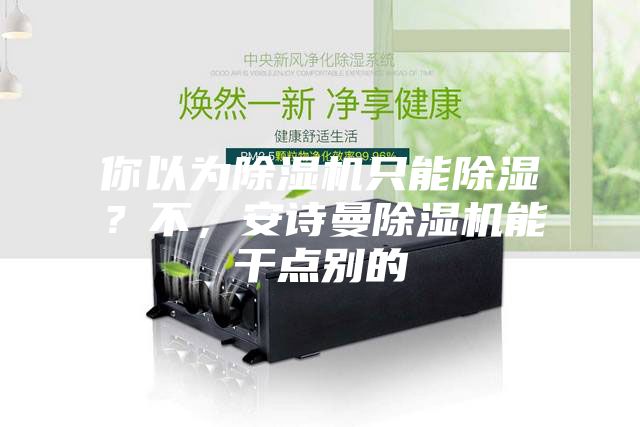 你以為除濕機(jī)只能除濕？不，安詩(shī)曼除濕機(jī)能干點(diǎn)別的