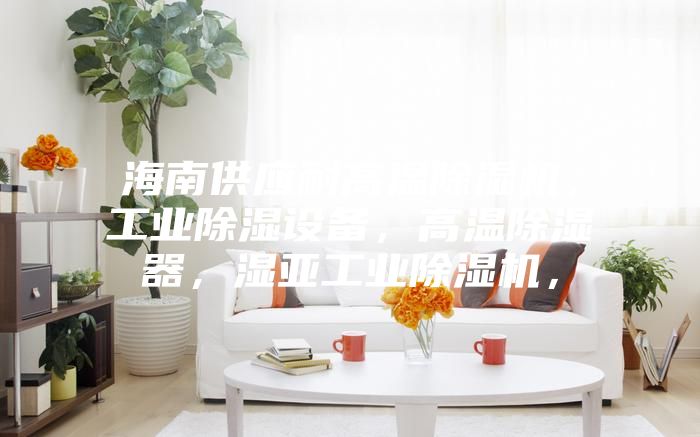 海南供應(yīng)耐高溫除濕機(jī)，工業(yè)除濕設(shè)備，高溫除濕器，濕亞工業(yè)除濕機(jī)，