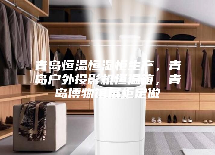 青島恒溫恒濕柜生產(chǎn)，青島戶外投影機(jī)恒溫箱，青島博物館展柜定做
