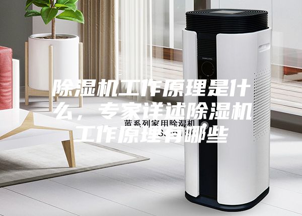 除濕機(jī)工作原理是什么，專(zhuān)家詳述除濕機(jī)工作原理有哪些