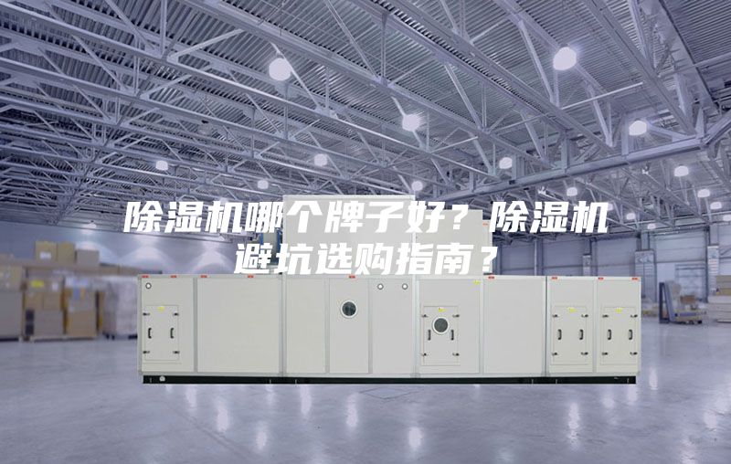 除濕機(jī)哪個牌子好？除濕機(jī)避坑選購指南？