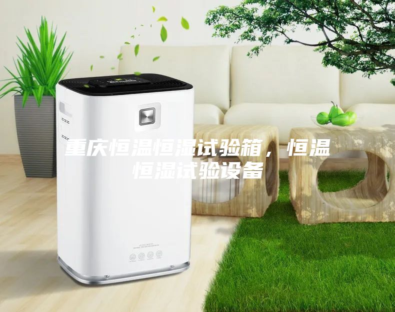 重慶恒溫恒濕試驗(yàn)箱，恒溫恒濕試驗(yàn)設(shè)備