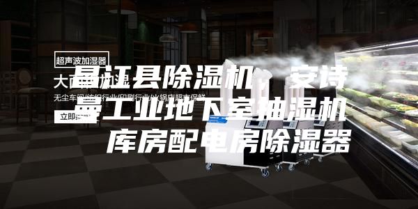 昌江縣除濕機(jī)，安詩曼工業(yè)地下室抽濕機(jī)  庫房配電房除濕器