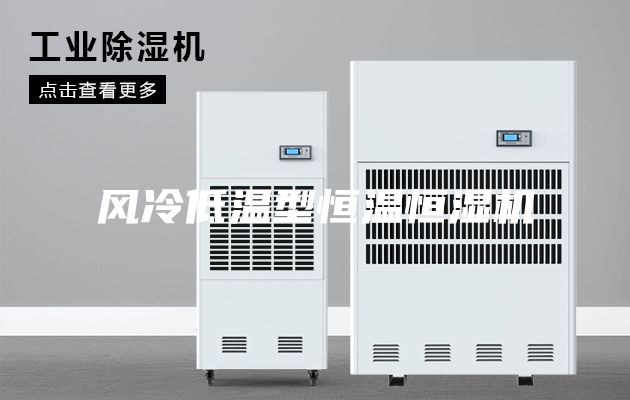風(fēng)冷低溫型恒溫恒濕機(jī)