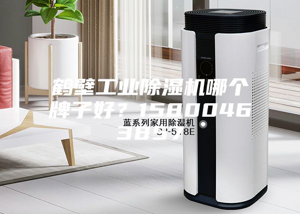 鶴壁工業(yè)除濕機(jī)哪個(gè)牌子好？15800463857