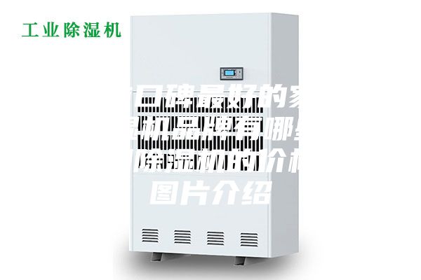 目前口碑最好的家用除濕機(jī)品牌有哪些？家用除濕機(jī)的價(jià)格和圖片介紹