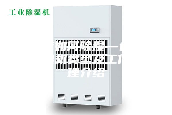 倉(cāng)庫(kù)如何除濕—倉(cāng)庫(kù)除濕機(jī)類型及工作原理介紹