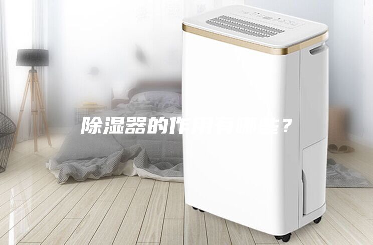 除濕器的作用有哪些？