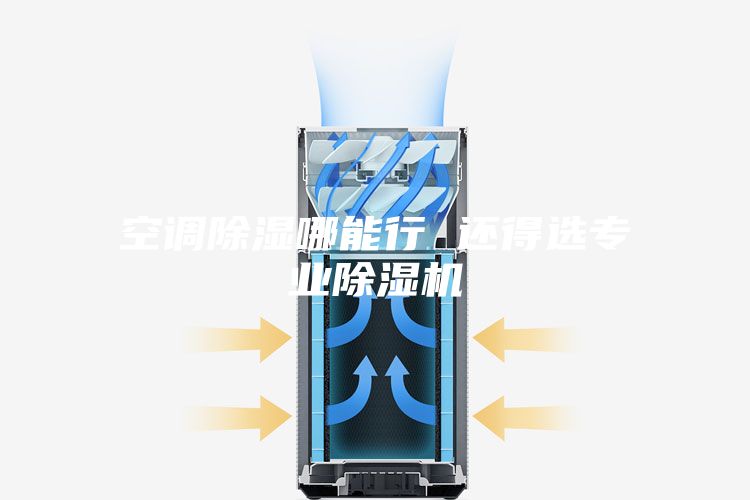 空調(diào)除濕哪能行 還得選專業(yè)除濕機