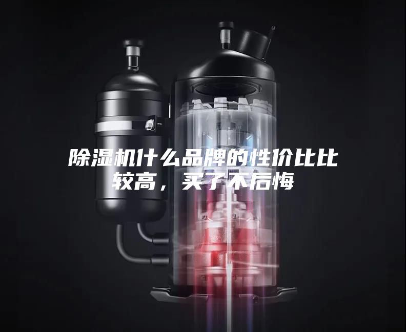 除濕機什么品牌的性價比比較高，買了不后悔