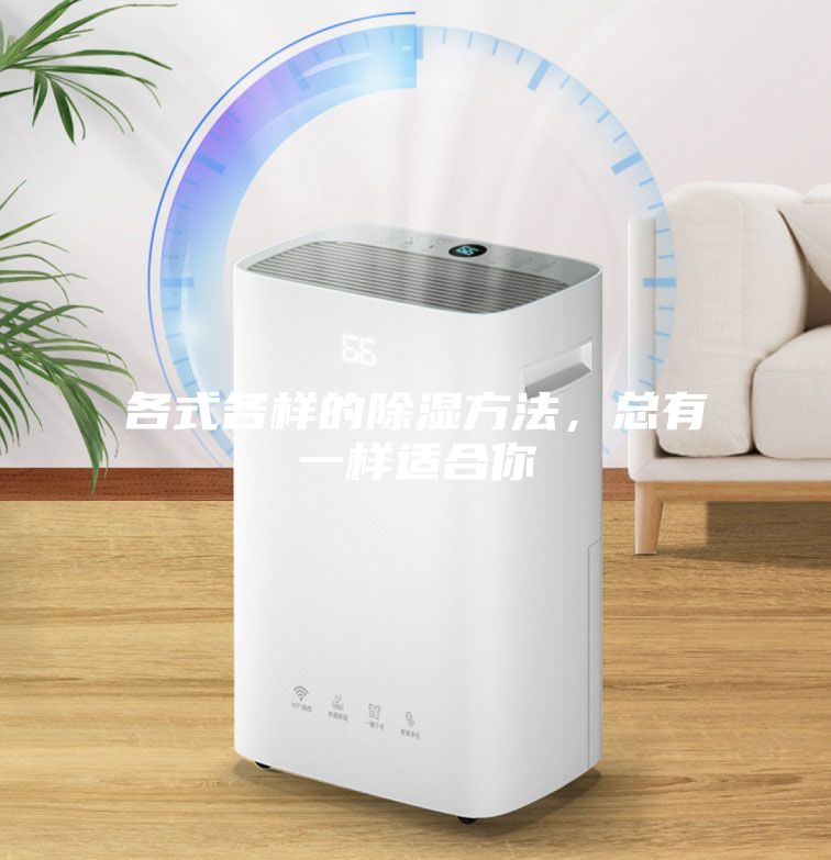各式各樣的除濕方法，總有一樣適合你