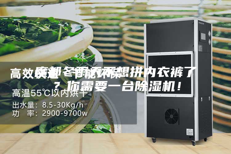 魔都冬雨天不想拼內(nèi)衣褲了？你需要一臺(tái)除濕機(jī)！