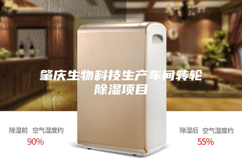 肇慶生物科技生產(chǎn)車(chē)間轉(zhuǎn)輪除濕項(xiàng)目