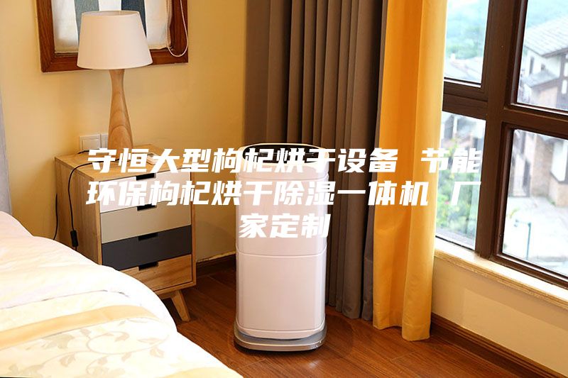 守恒大型枸杞烘干設(shè)備 節(jié)能環(huán)保枸杞烘干除濕一體機(jī) 廠(chǎng)家定制