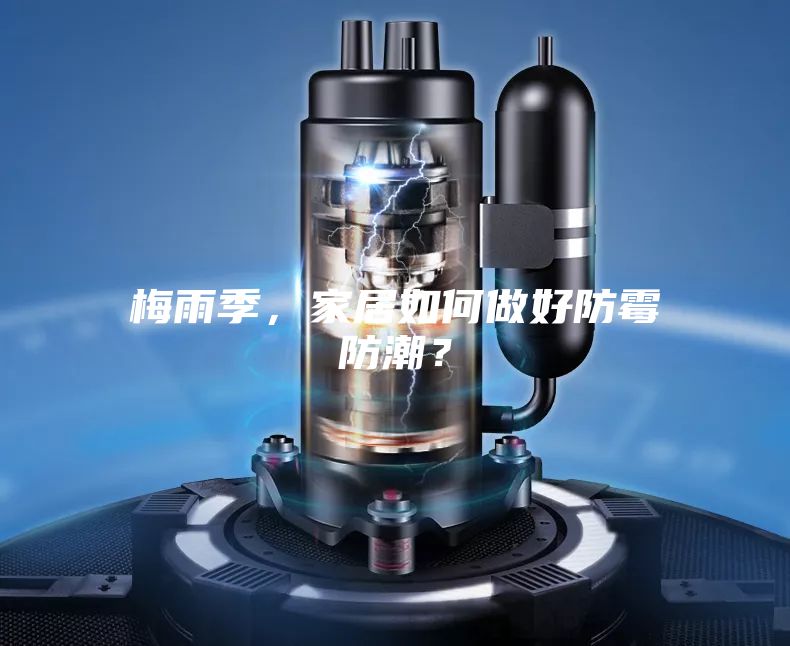 梅雨季，家居如何做好防霉防潮？