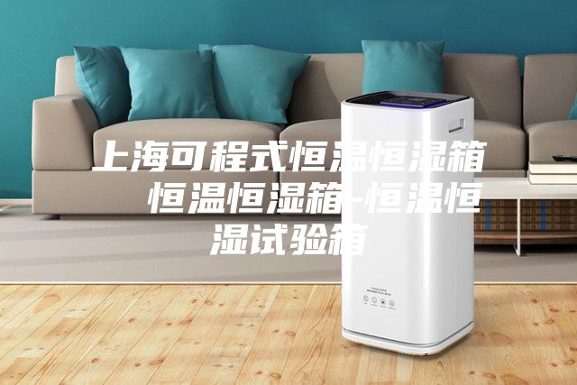 上海可程式恒溫恒濕箱  恒溫恒濕箱-恒溫恒濕試驗(yàn)箱