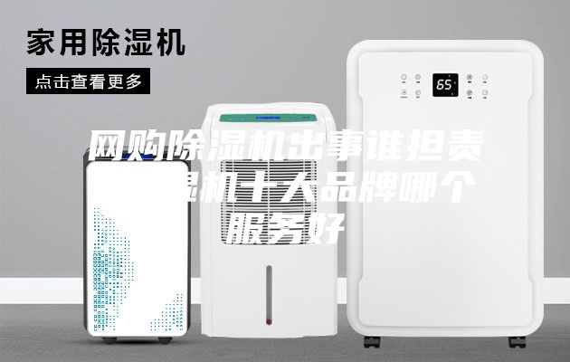 網(wǎng)購(gòu)除濕機(jī)出事誰擔(dān)責(zé) 除濕機(jī)十大品牌哪個(gè)服務(wù)好