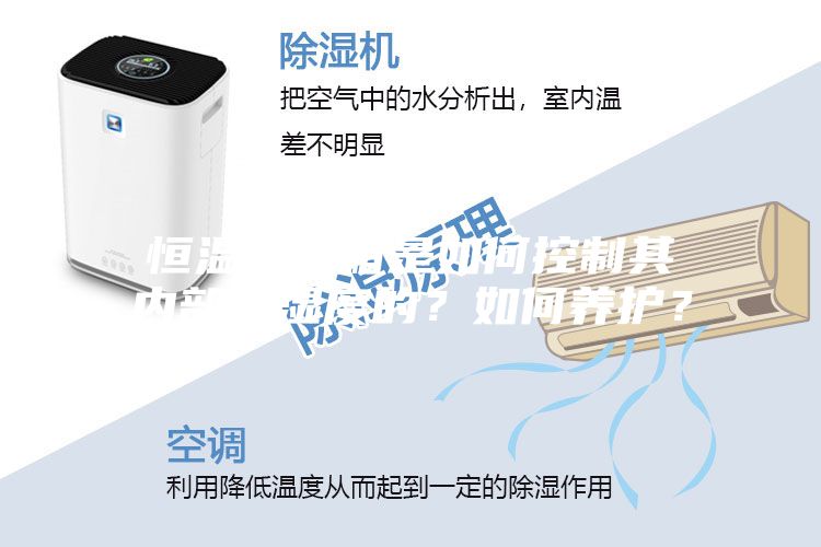 恒溫恒濕箱是如何控制其內(nèi)部溫濕度的？如何養(yǎng)護(hù)？