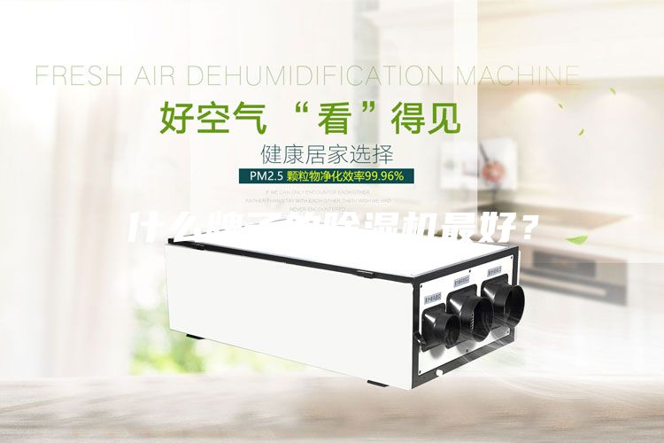 什么牌子的除濕機(jī)最好？
