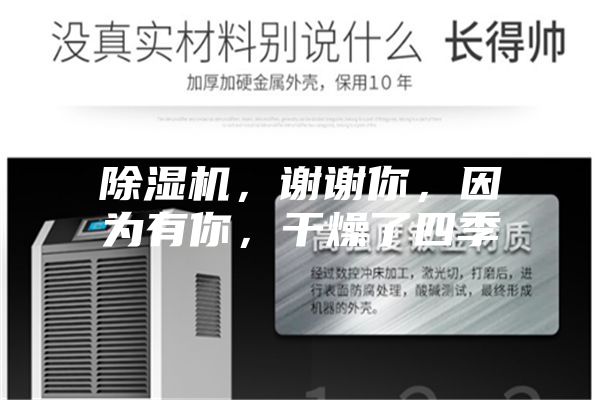除濕機(jī)，謝謝你，因?yàn)橛心?，干燥了四?></div>
								<div   id=