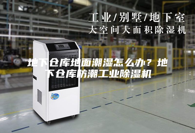 地下倉(cāng)庫(kù)地面潮濕怎么辦？地下倉(cāng)庫(kù)防潮工業(yè)除濕機(jī)