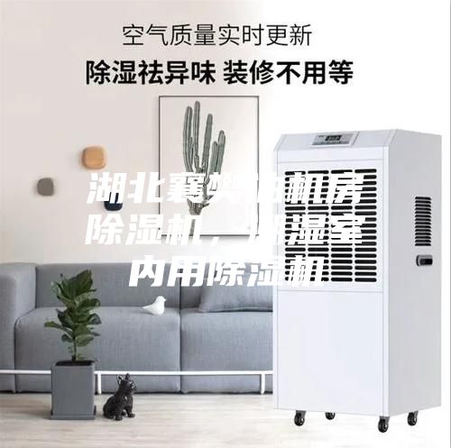湖北襄樊油機(jī)房除濕機(jī)，潮濕室內(nèi)用除濕機(jī)