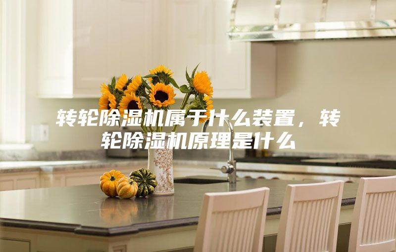 轉(zhuǎn)輪除濕機屬于什么裝置，轉(zhuǎn)輪除濕機原理是什么
