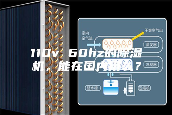 110v 60hz的除濕機(jī)，能在國內(nèi)用么？