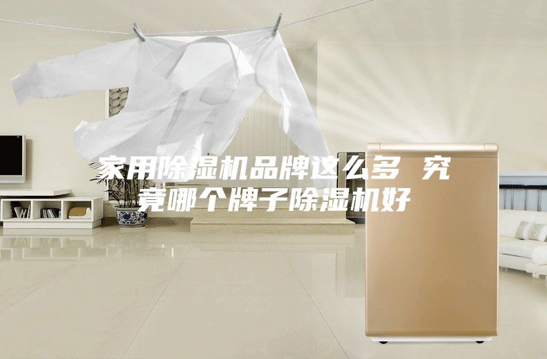 家用除濕機(jī)品牌這么多 究竟哪個牌子除濕機(jī)好