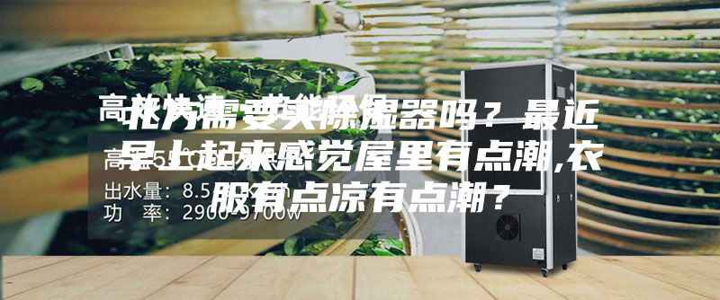 北方需要買除濕器嗎？最近早上起來感覺屋里有點潮,衣服有點涼有點潮？