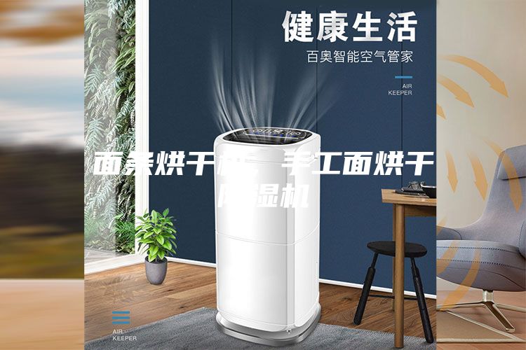 面條烘干機(jī)，手工面烘干除濕機(jī)