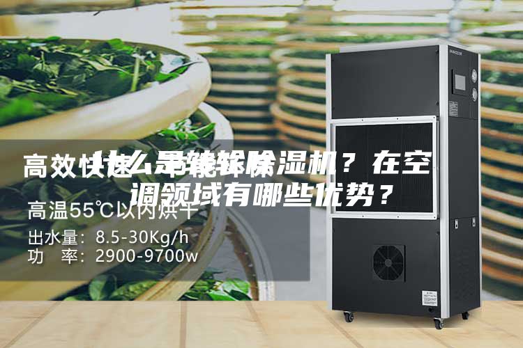 什么是轉(zhuǎn)輪除濕機(jī)？在空調(diào)領(lǐng)域有哪些優(yōu)勢(shì)？