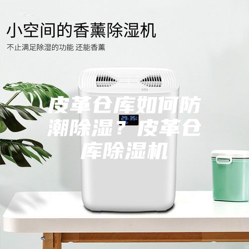 皮革倉(cāng)庫(kù)如何防潮除濕？皮革倉(cāng)庫(kù)除濕機(jī)
