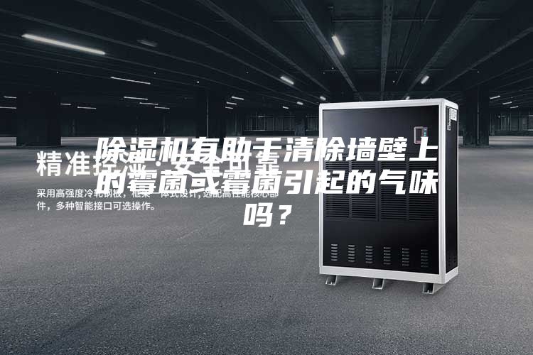 除濕機(jī)有助于清除墻壁上的霉菌或霉菌引起的氣味嗎？