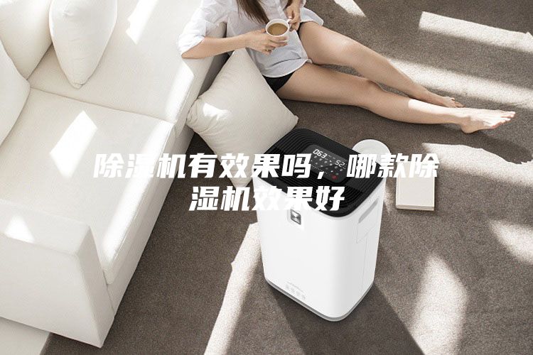 除濕機有效果嗎，哪款除濕機效果好