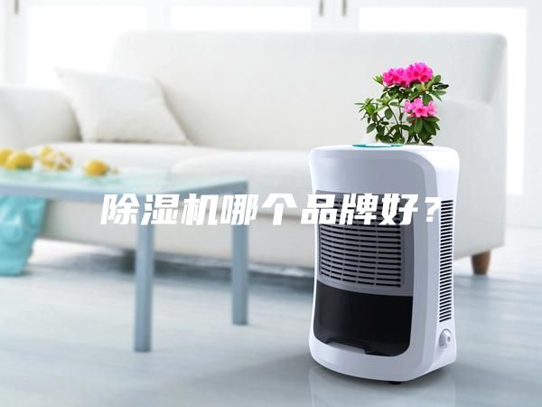 除濕機哪個品牌好？
