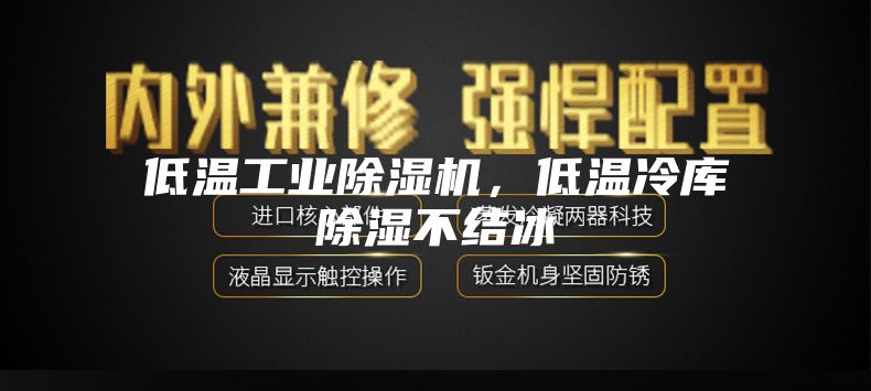 低溫工業(yè)除濕機(jī)，低溫冷庫除濕不結(jié)冰