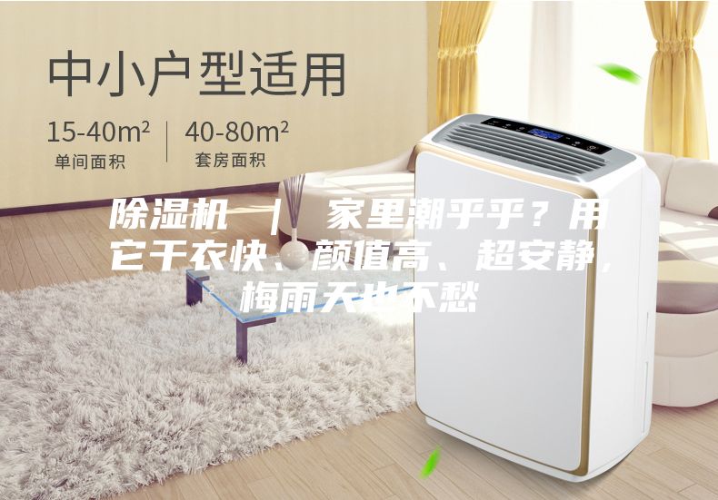 除濕機(jī) ｜ 家里潮乎乎？用它干衣快、顏值高、超安靜，梅雨天也不愁