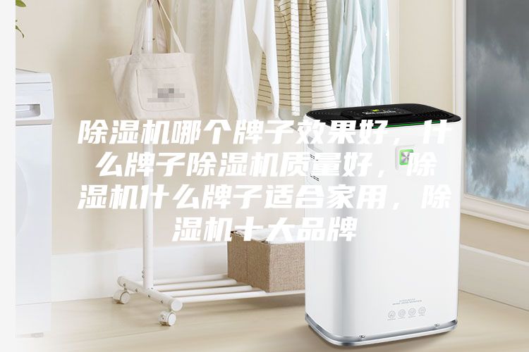 除濕機哪個牌子效果好，什么牌子除濕機質(zhì)量好，除濕機什么牌子適合家用，除濕機十大品牌