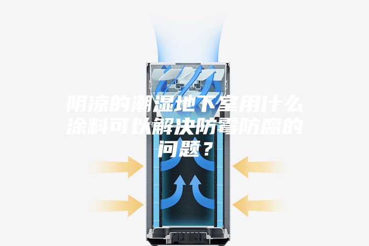 陰涼的潮濕地下室用什么涂料可以解決防霉防腐的問題？