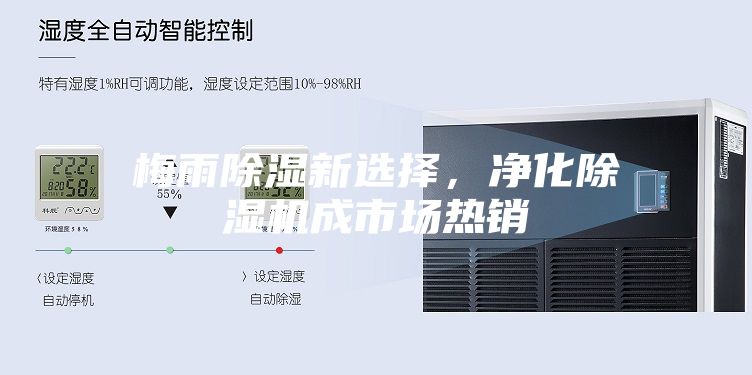 梅雨除濕新選擇，凈化除濕機(jī)成市場(chǎng)熱銷