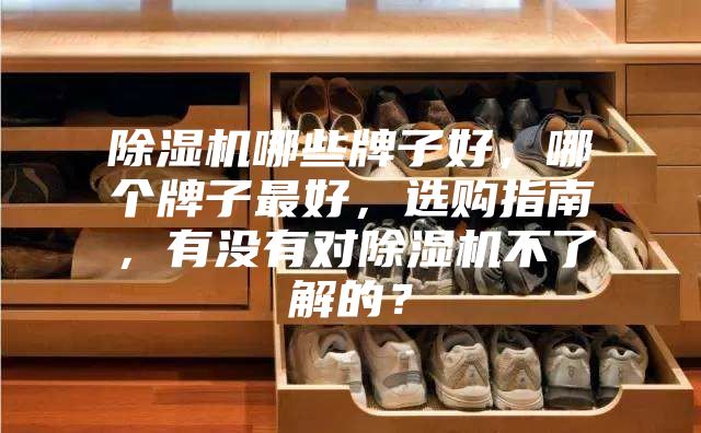 除濕機(jī)哪些牌子好，哪個牌子最好，選購指南，有沒有對除濕機(jī)不了解的？