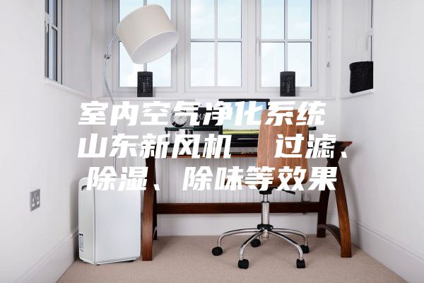 室內(nèi)空氣凈化系統(tǒng) 山東新風(fēng)機(jī)  過(guò)濾、除濕、除味等效果