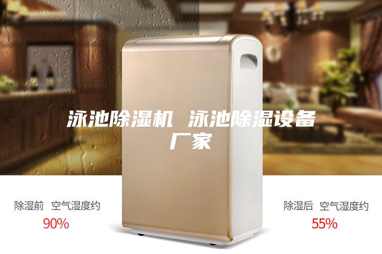泳池除濕機 泳池除濕設(shè)備廠家