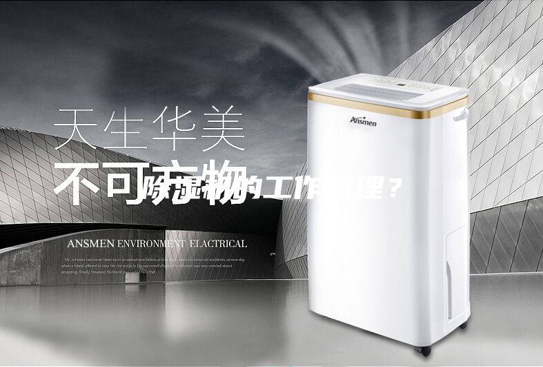 除濕機的工作原理？
